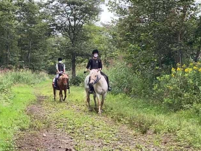 ��������Ă����n�̓~�J���`�����Ƃ����q�A�ƂĂ�����������B_�o�ʃz�[�X�p�[�N�V�x