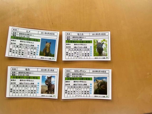 ����������h�B�L�O�ɂȂ�܂��B_�o�ʃz�[�X�p�[�N�V�x