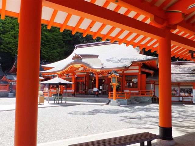 �x�e�ꏊ�����˂��W�]�����猩���q�a�B_�F��ߒq���