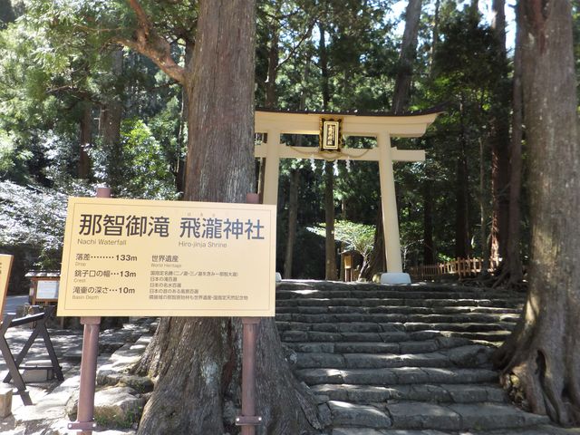 �ߒq�̑� �C�R�[�� �򗴐_�Ёi��_�́j_���_��