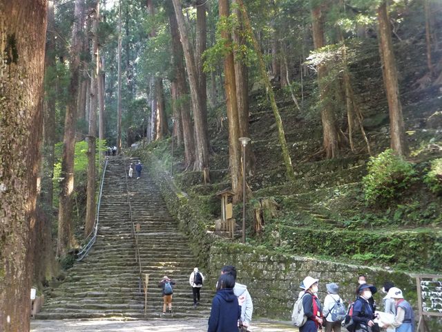 ������Βi�����グ�Ă��܂��B_���_��