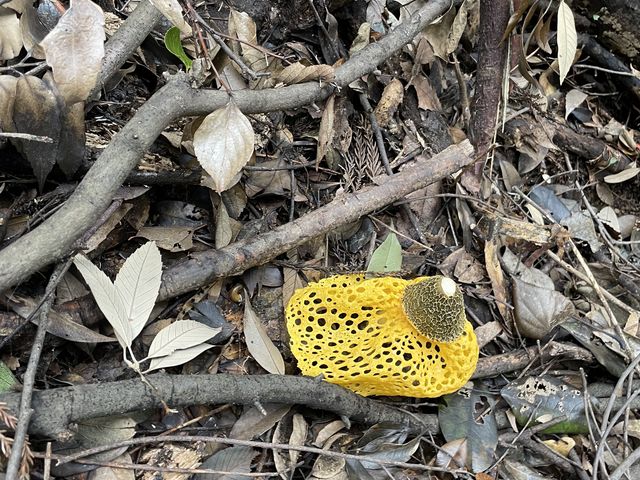 �L�k�T�_�P�����邱�Ƃ��o���܂���(^o^)�ō��ł��I_��R