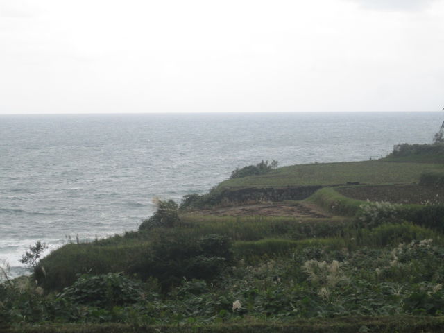 �]����������܂��B_���u�̒I�c