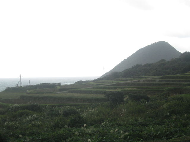 k_bNNo2̑u̒Ic̓eʐ^2