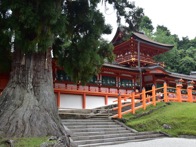 ��F���ڂ�����_�t����Ж{�Ж{�a