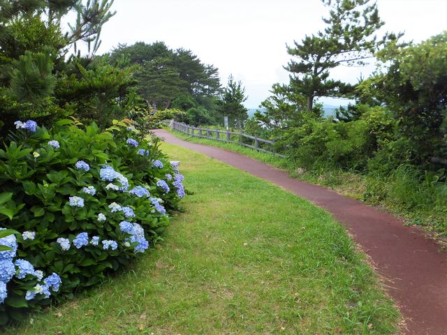 ���������������ł����B_����̓�