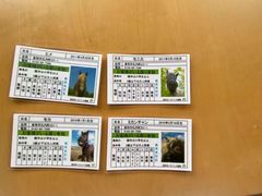 yukiko737̓oʃz[Xp[NVxւ̓eʐ^2