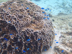 [Nature Guide Double Rainbow lC`[KCh@_uC{[ւ̓eʐ^1