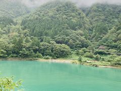 �҂゠����̍������J�S���ւ̓��e�ʐ^1