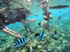 miyủAChN[ւ̓eʐ^1