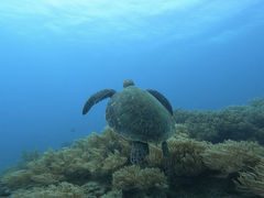 Hassỹ}T[rXނʁ[ւ̓eʐ^1