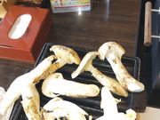 Kai̔~̉ ̓mX̓eʐ^2