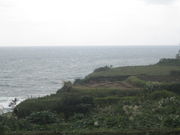 k_bNNo2̑u̒Ic̓eʐ^1