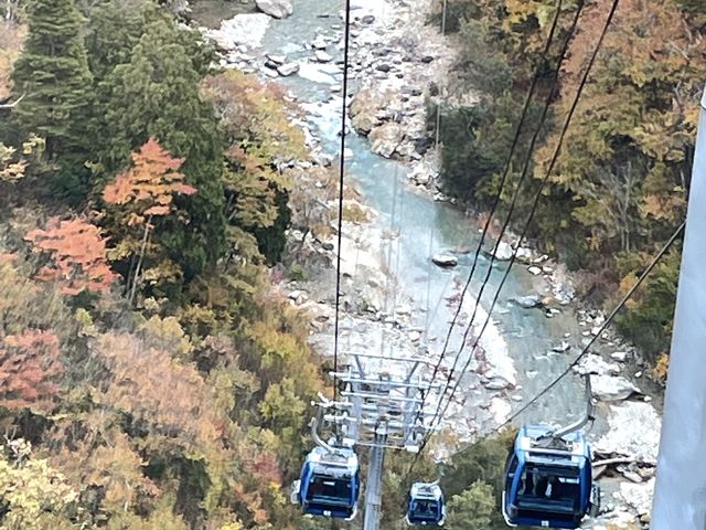 ����ォ�牺�։��؂�唗�͂ł�_�c��v�����X�z�e��