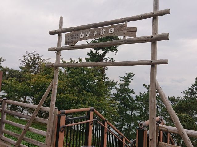 �Ŕ�_���̉w �疇�c�|�P�b�g�p�[�N