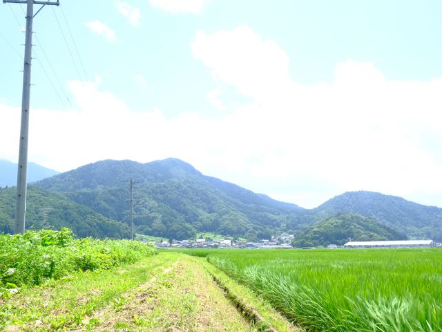 H[̋߂̓cځB_MB邵H[@