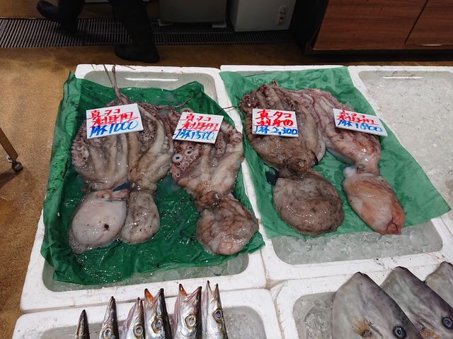 挧@̉w@Ղ̉Y_̉w Ղ̉Y