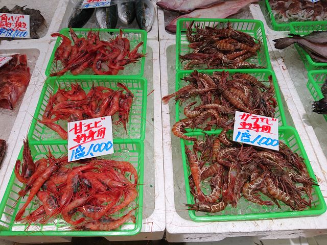 挧@̉w@Ղ̉Y_̉w Ղ̉Y