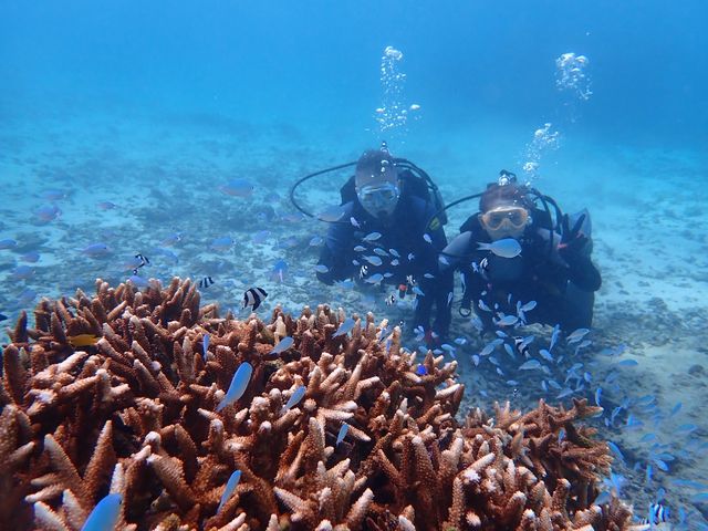 別世界魚が沢山見れて楽しかったです_marine assist DEMI