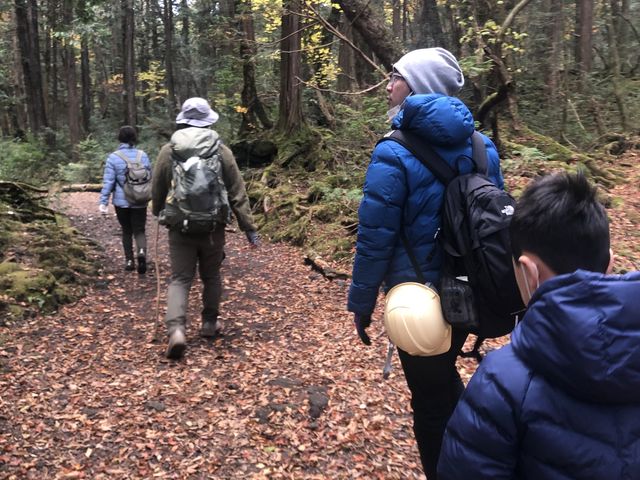 ���C�T�����I_�y�m�G�R�c�A�[�E�T�[�r�X