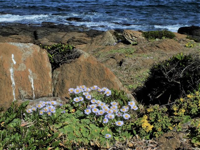 _}MN@112Be@CłȉߍȊC݂ɌCɍ炢Ă܂('')m_q蕗̌