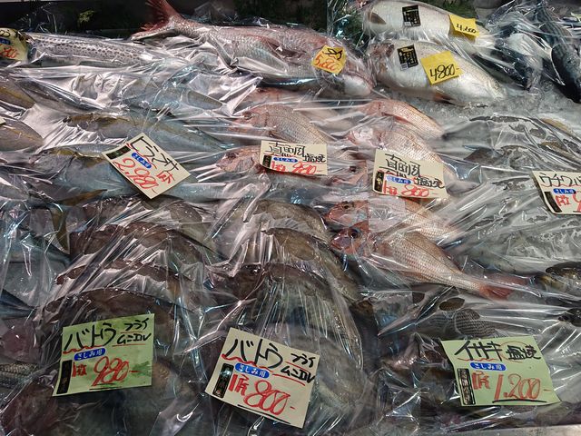 ���挧�@���̉w�@�|�[�g�ԍ�_���̉w �|�[�g�ԍ�