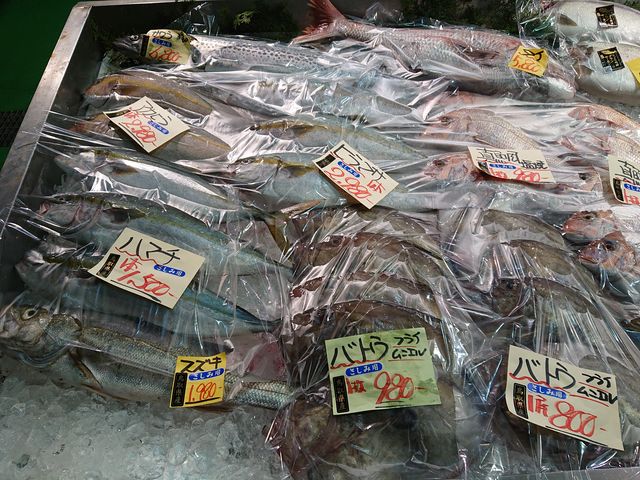 ���挧�@���̉w�@�|�[�g�ԍ�_���̉w �|�[�g�ԍ�