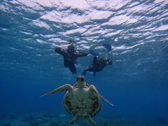 傤CHURA{Óւ̓eʐ^1