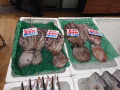 ̓̉w Ղ̉Yւ̓eʐ^3