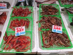 ̓̉w Ղ̉Yւ̓eʐ^5