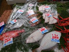 ̓̉w Ղ̉Yւ̓eʐ^6