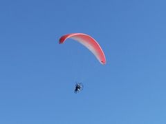 Ⴓ̏MCpOC_[̌ւ̓eʐ^1