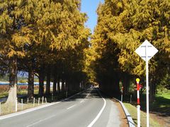 {̂Ђ낿񂳂̃^ZRCA؂ւ̓eʐ^1