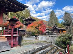 �k�P�Ă郉�C�_�[����̐V�C�O�А_�Ё@�@�ւ̓��e�ʐ^1