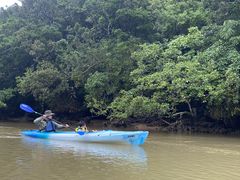 ĨlC`[YfBCg\ւ̓eʐ^1