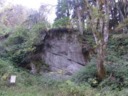 ۂۂʋǧ얀RAWTC̓eʐ^2