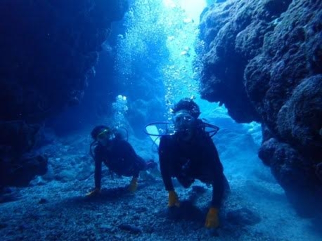 �ʐ^�����ł�_�{�Ó��_�C�r���O���]�[�gReef