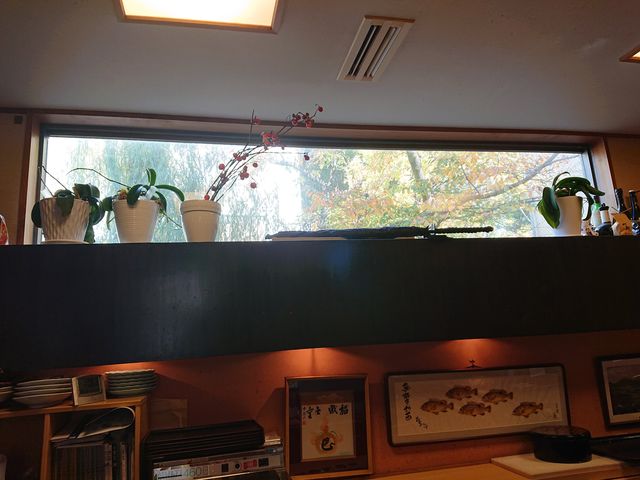 �R�����h�{�s�@���̂����ĂȂ��l_���̂����ĂȂ��l