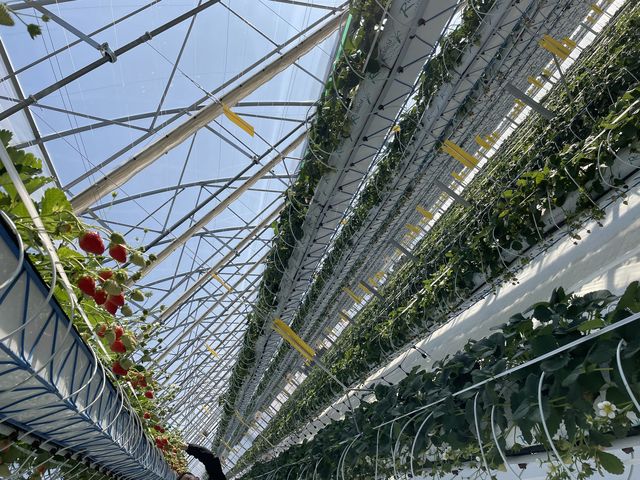 �Ԃ������������Ȃ������ł�_���ЗY�_��