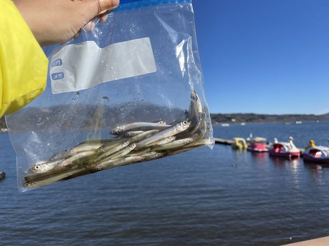 �Ƒ�3�l��62�C_�{�[�g�n�E�X���C��