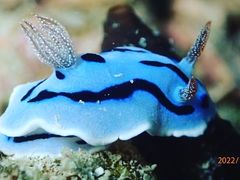 񂿂񂳂̃ANAJ[Yւ̓eʐ^1