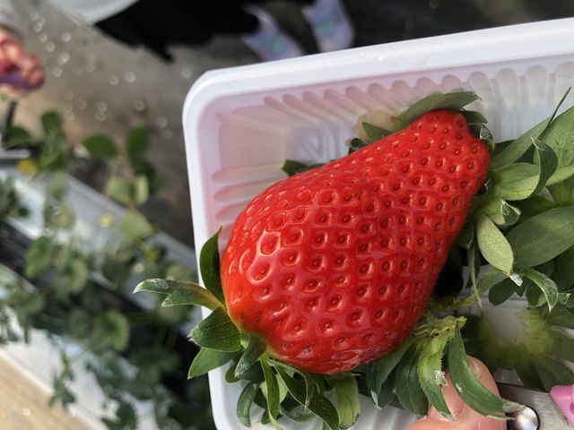 �ЂƗ��ł��{�����[������܂����B_�r�{�_��