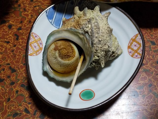 �傫�ȃT�U�G_�_������