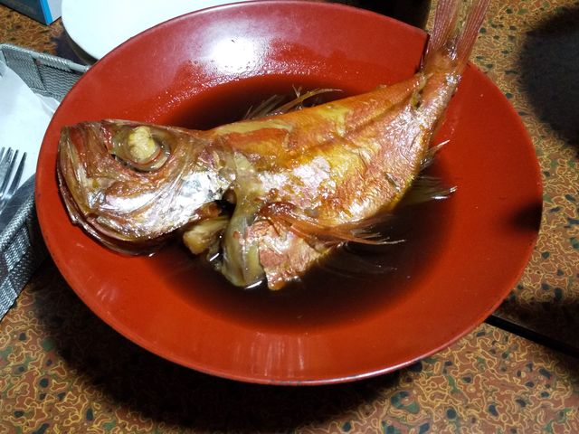 ������ڂ̎ϋ�_�_������