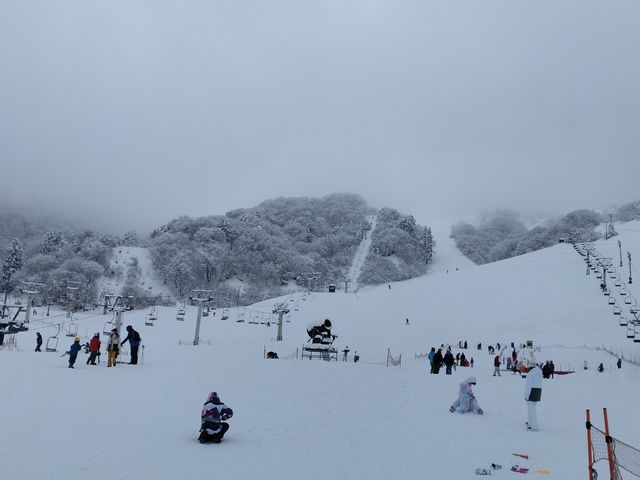 �Z���^�[�n�E�X���猩�グ���Ƃ���_�]���������]�[�g