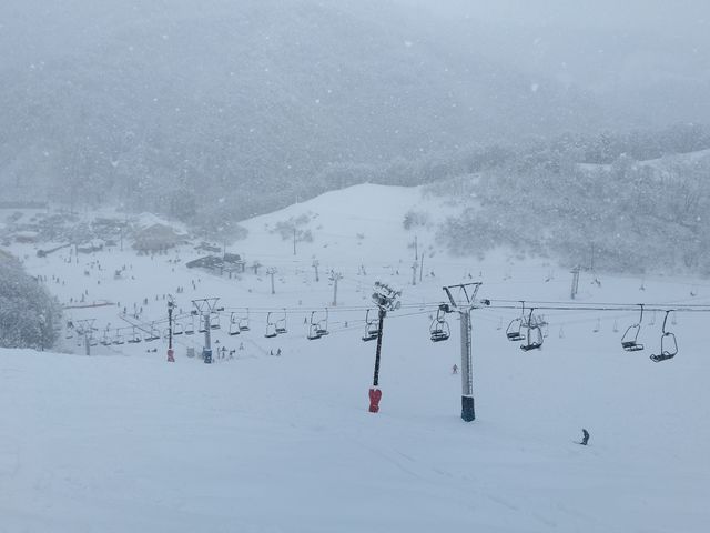 �}�b�^�[�z�����R�[�X�������猩���낵���Ƃ���_�]���������]�[�g