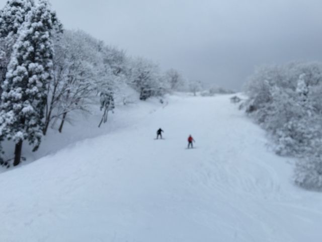 �}�b�^�[�z�����R�[�X�����グ���Ƃ���_�]���������]�[�g