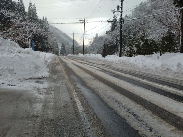 �A�N�Z�X�H�̗l�q_�]���������]�[�g