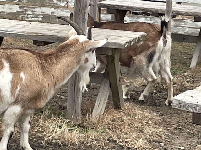 ���M����_�A�[�o���z�e���쑐��