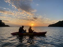 ނコ̃u[tB[hւ̓eʐ^1